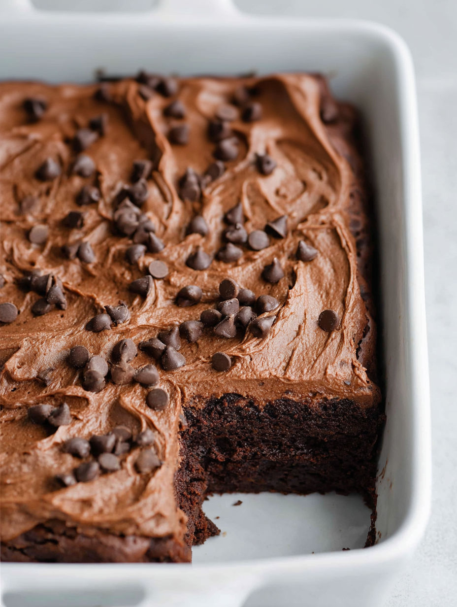 A close up of a chocolate cake with chocolate chips.